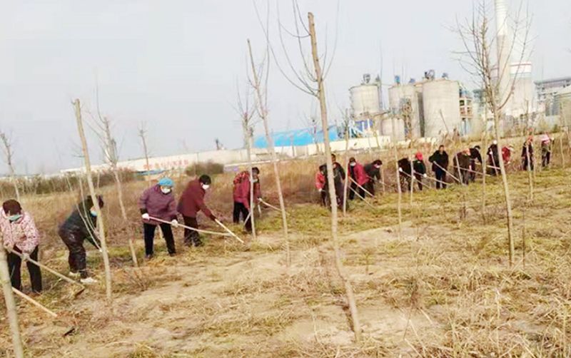 長垣市天然文巖渠右堤綠化和圍城林工程
